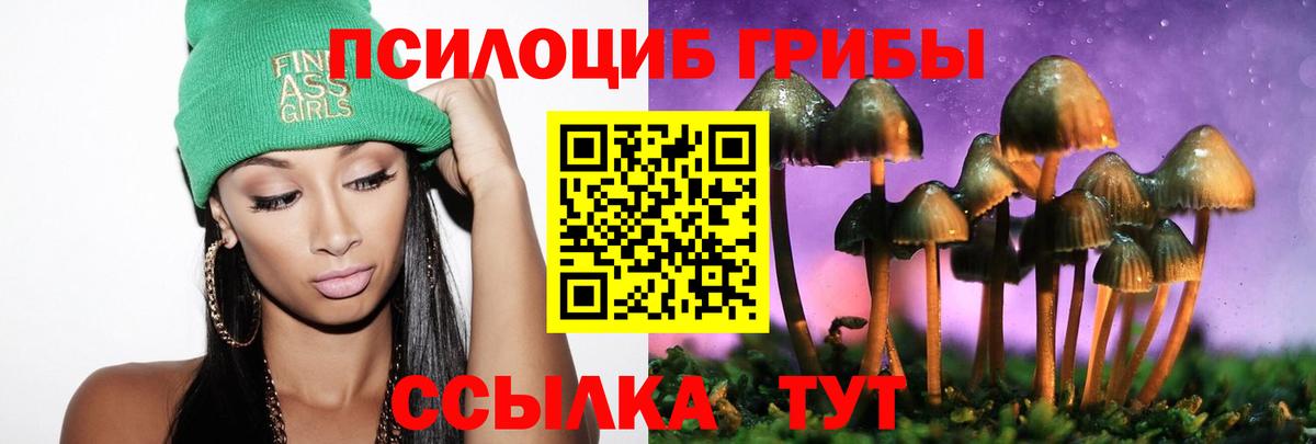 Дзержинск  Псилоцибиновые грибы Psilocybe  Вход с VPN  Псилоцибиновые грибы ЛСД 
